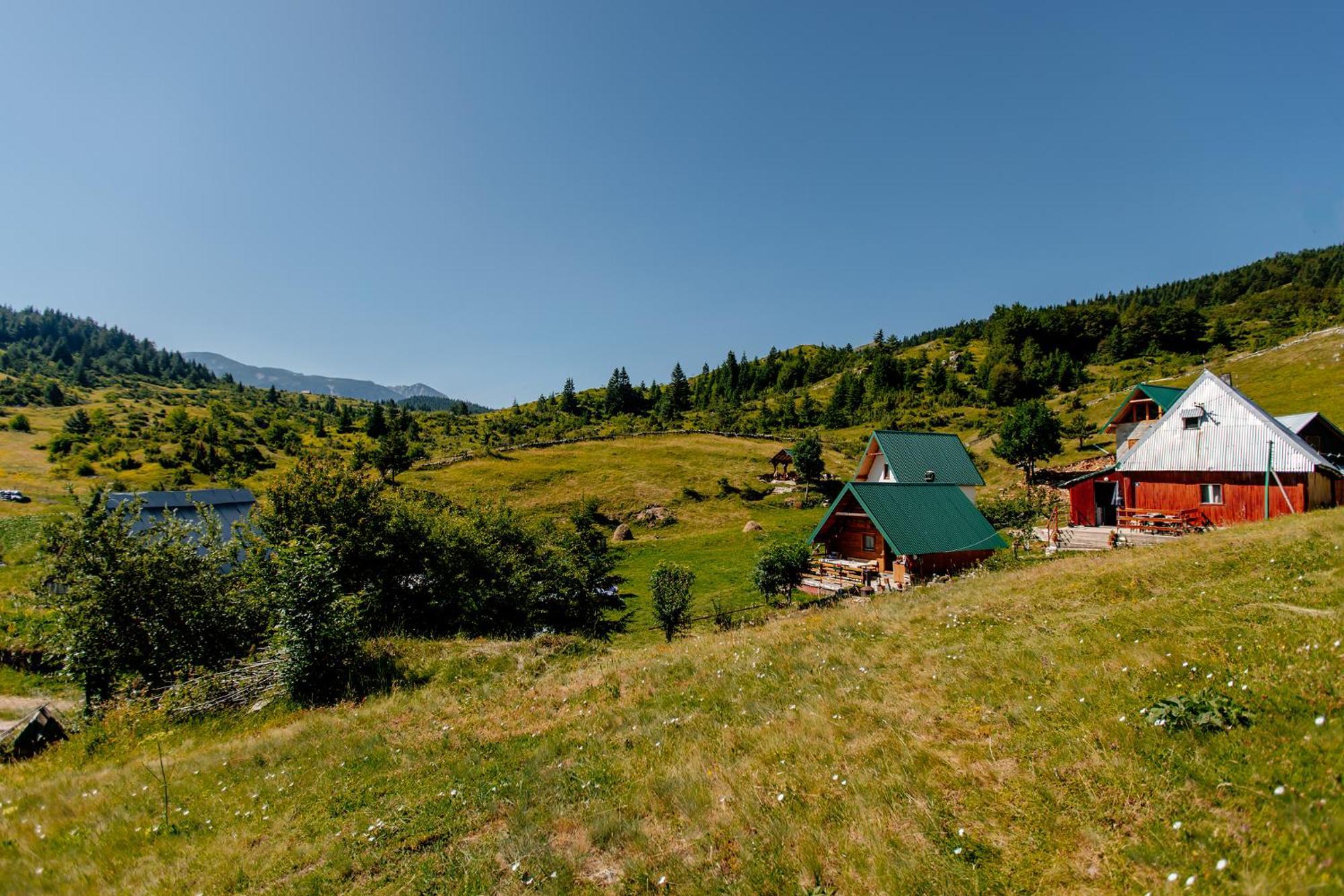 Household Uscumlic - Oaza Mira Bed & Breakfast Plužine Dış mekan fotoğraf